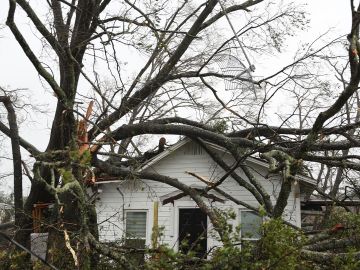 Un árbol desgajado sobre una casa en Panama City, Florida.