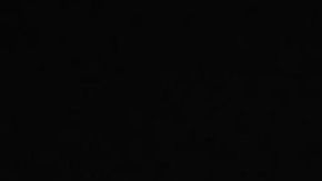 El presidente Trump sólo retuiteó un mensaje del vicepresidente.