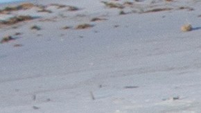 Escombros de casa y negocios en Mexico Beach, Florida.