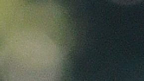 No hay indicios de que los demócratas quieran iniciar un proceso para un juicio político contra Trump.