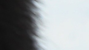 Autoridades acusan a los inmigrantes de entrar a México a la fuerza. John Moore/Getty Images