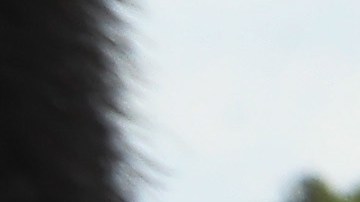 Autoridades acusan a los inmigrantes de entrar a México a la fuerza. John Moore/Getty Images