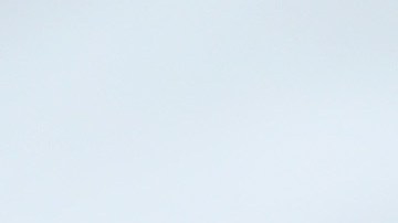 Los duques de Sussex