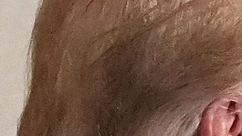 El presidente Trump y la primera dama Melania lideraron un evento el miércoles pasado.