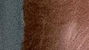 Trump sigue con su retórica antiinmigrante