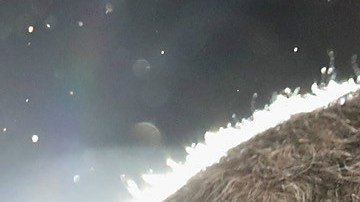 Trump se juega el control de la Cámara de Representantes