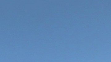 La falta de coordinación entre autoridades estatales y federales es parte del problema.