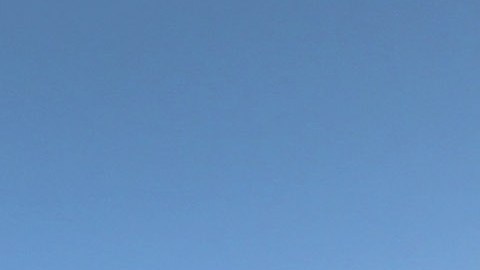 La falta de coordinación entre autoridades estatales y federales es parte del problema.