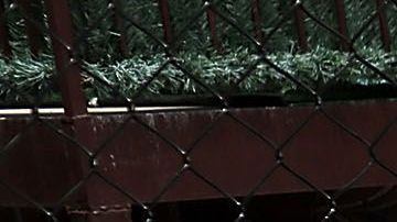 La Ciudad pide vacunarse debido al brote. Spencer Platt/Getty Images