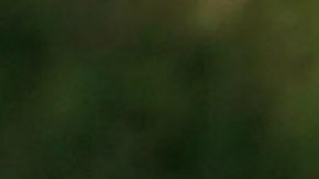 La violencia en Chicago ha disminuido por trece meses consecutivos