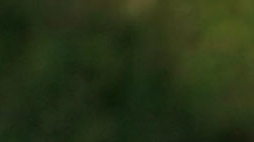 La violencia en Chicago ha disminuido por trece meses consecutivos