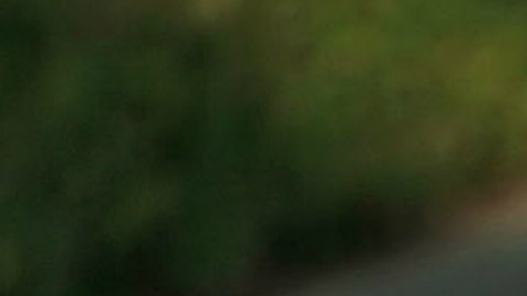 La violencia en Chicago ha disminuido por trece meses consecutivos
