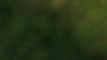 Trump ha dicho que Tiffany es la que menos orgulloso lo hace como padre