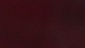 Una vieja entrevista con Melania dejó a conocer su predicción