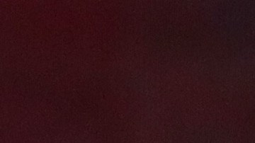 Una vieja entrevista con Melania dejó a conocer su predicción