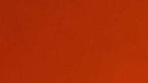 Toyota All-Star Showdown