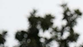 El presidente Trump critica los cuestionamientos hacia el juez Kavanaugh.