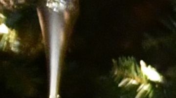 La archirrival de Trump en 2016 sería presa facial para el presidente en 2020