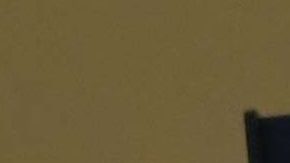 USCIS asegura que esta opción añade transparencia al proceso