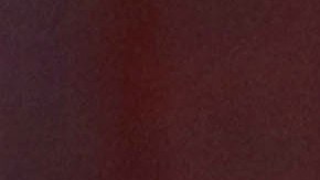 Ghana fue el punto de partida para la Primera Dama