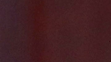 Ghana fue el punto de partida para la Primera Dama