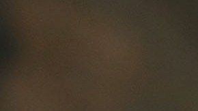 El magnate se niega a pagar el millón de dólares que prometió a Elizabeth Warren