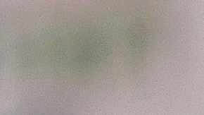 Andrés Manuel López Obrador.