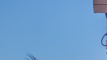 Decapitado Halloween