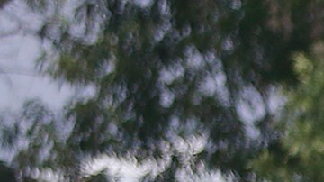 El club América tuvo un día de entrenamiento distinto a los demás