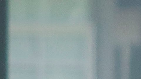 El delantero de Tigres, Jürgen Damm, forma parte de la lista de convocados contra los ticos