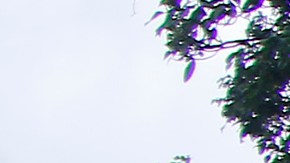 Arturo Brizio, presidente de la Comisión de Arbitraje, hace la última supervisión del VAR