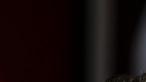 Diego Cocca, fue cesado como director técnico de Xolos de Tijuana. (Foto: Imago7/ Alejandro Gutiérrez Mora)