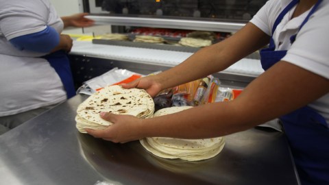 La harina de maíz se consume en tortillas y otros productos.
