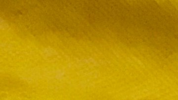 El activista de la organización Sin Fronteras, Irineo Mújica