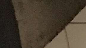 El suicida se lanzó contra el tren de la línea A.