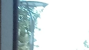 Arianna Arroyo, de 13 años, tenía el cabello tan largo que logró donar 23 pulgadas de su cabello./ foto: Alejandro Cano