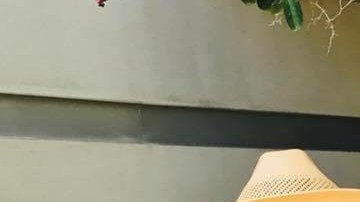 Giselle Gasca, junto a la organizadora Dolores Huerta, se encarga de promover el voto en su comunidad de Fresno. (Suministrada)