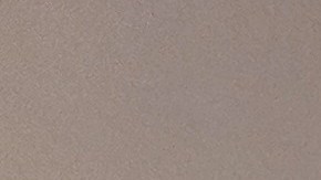 Reyna Mendoza fue desalojada del hogar donde vivió por más de 26 años en la ciudad de Santa Ana. (Jacqueline García)