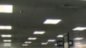 Se estima que hasta 3.4 millones de californianos ya tienen la Real ID . (Archivo)