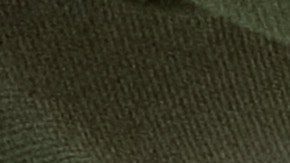 Los conductores novatos deben manejar sin distracciones o motivos para cometer infracciones