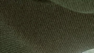 Los conductores novatos deben manejar sin distracciones o motivos para cometer infracciones