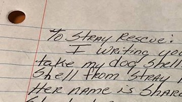 Carta con el último deseo antes de morir de una paciente con cáncer.