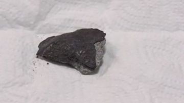 El meteorito cabe en la palma de la mano.