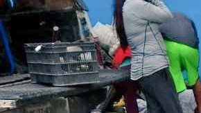 Violencia en el Estado de México.