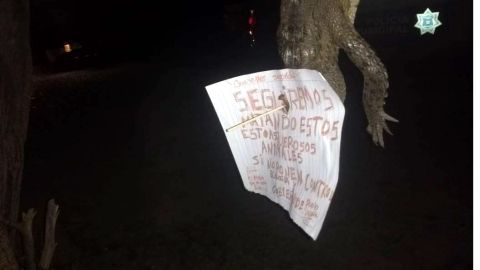 La imagen causó indignación