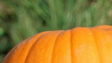 Propiedades calabaza