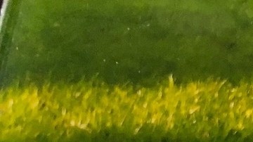 Richard Sánchez fue herido de muerte por la policía de San Bernardino el 28 de septiembre. (foto suministrada)