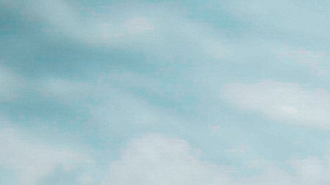 El color de tu auto habla muchos acerca de tu personalidad