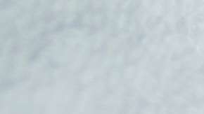 Se desconocen las causas exactas de esta enfermedad.