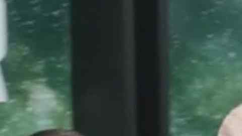 A Horace Roberts se le acusó del asesinato de su amante, Terry Yvette Cheek.